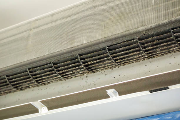 Best Affordable Air Duct Cleaning  in Bel Air South, MD
